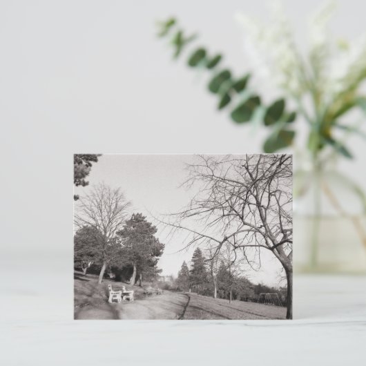 Bell Vue Park, Newport, Mon Postkarte (Stehend Vorderseite)