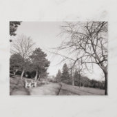 Bell Vue Park, Newport, Mon Postkarte (Vorderseite)