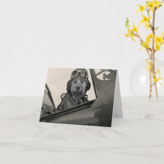 Bella als Pilot der 40er Jahre Karte (Gelbe Blume)