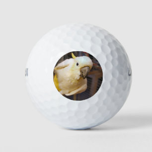 Bella boy golfball