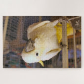 Bella boy puzzle (Horizontal)