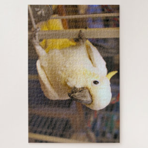 Bella boy puzzle