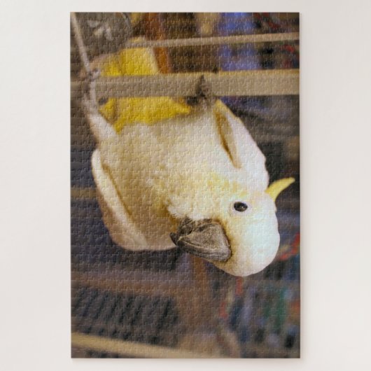 Bella boy puzzle (Vertikal)