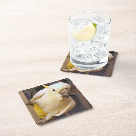 Bella boy rechteckiger pappuntersetzer (Vor Ort)