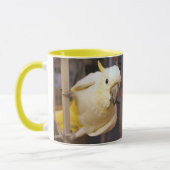 Bella boy tasse (Links)