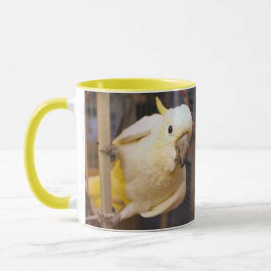Bella boy tasse (Links)