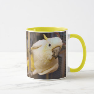 Bella boy tasse