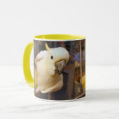 Bella boy tasse (Vorderseite Links)