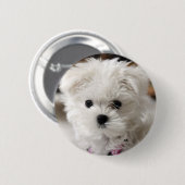 Bella Button (Vorne & Hinten)