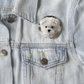 Bella Button (Beispiel)