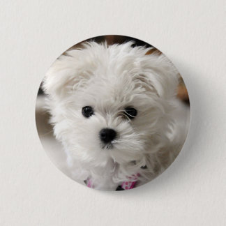 Bella Button