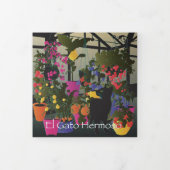 Bella Cat 4-6 Trifache Karte (Cover)