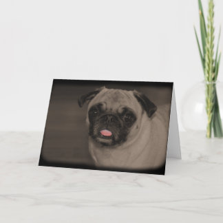 Bella Donna Begrüßungskarte Karte