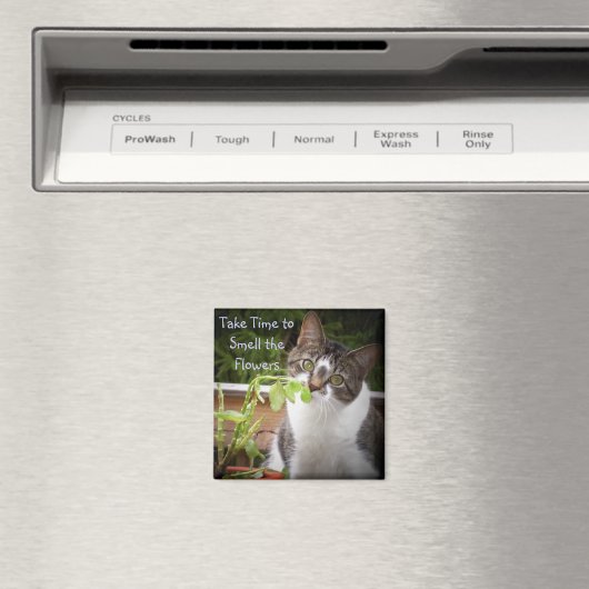 ‚BELLA‘ MAGNET (In Situ (Geschirrspüler))