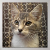 Bella Poster (Vorne)