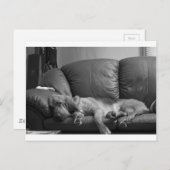 Bella Postkarte (Vorne/Hinten)