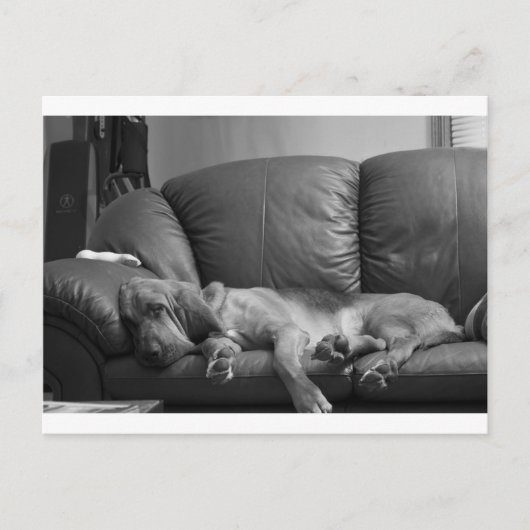 Bella Postkarte (Vorderseite)