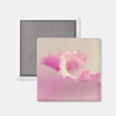 Bella Rosa Magnet (Vorderseite/Rückseite)