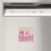 Bella Rosa Magnet (In Situ (Geschirrspüler))