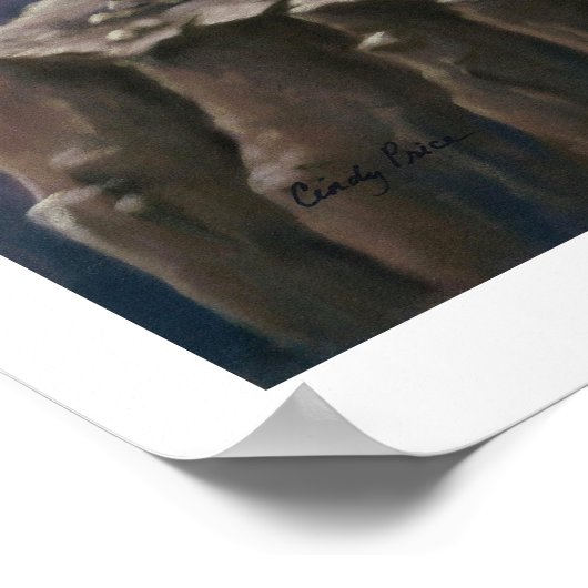 Bella Sara, Thunder - Druck Poster (Ecke)