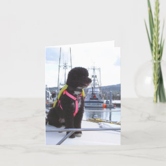 Bella und der Hundefänger Karte