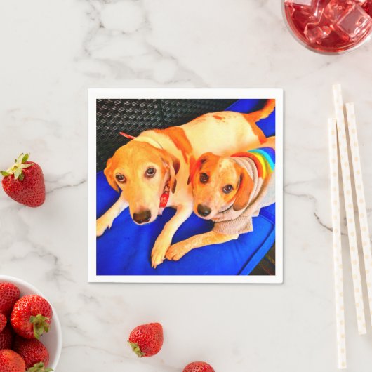 Bella und Luna Napkins - Tamara Diaz Art Serviette (Beispiel)