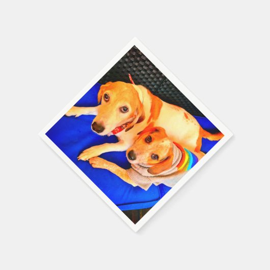 Bella und Luna Napkins - Tamara Diaz Art Serviette (Ecke)