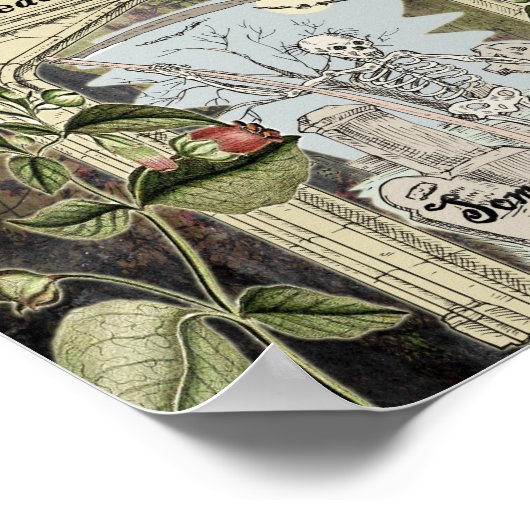 BELLADONNA WITCH'S HERB POSTER (Ecke)