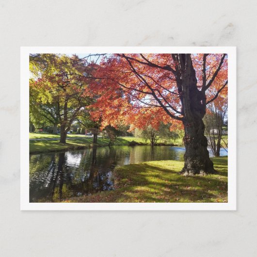 Bellarmine Pond, Fairfield University Postcard Postkarte (Vorderseite)