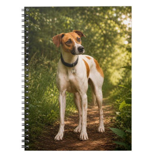 Bellas Abenteuer auf dem Waldweg Notizblock (Vorderseite)