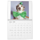 Bellatheaussie Kalender 2015 (Mär 2027)