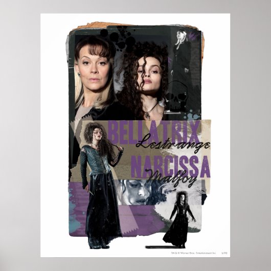 Bellatrix Lestrange und Narcissa Malfoy Poster (Vorne)