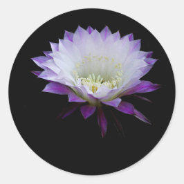 Belle des Ballnachtbladers Runder Aufkleber