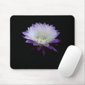 Belle des Balls, nächtblühende Kakteen Mousepad (Mit Mouse)