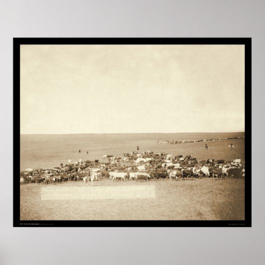 Belle Fouche Cowboy Round-Up SD 1887 Poster (Vorne)