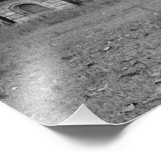 Belle Grove Plantation Louisiana Foto Print (Ecke)