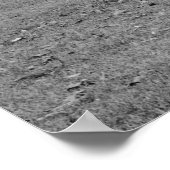 Belle Grove Plantation Louisiana Poster (Ecke)