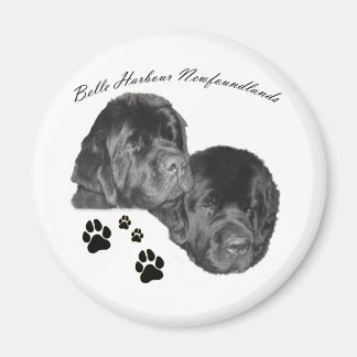 Belle Harbour Newfundlands Magnet