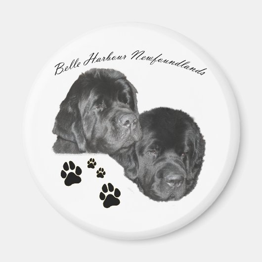 Belle Harbour Newfundlands Magnet (Vorne)