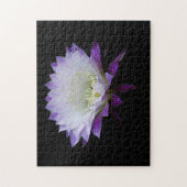 Belle of the Ball night bloomer Puzzle (Vertikal)