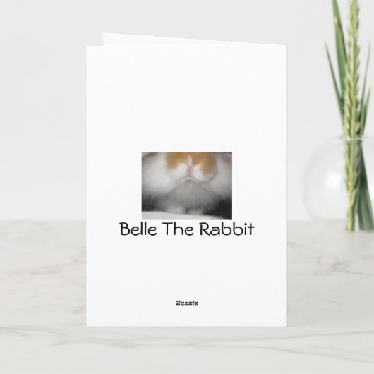 Belle The Rabbit Birthday Card Karte (Rückseite)