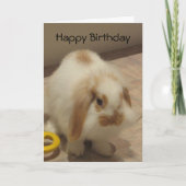 Belle The Rabbit Birthday Card Karte (Vorderseite)