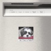 Belle The Shih Tzu Dog Magnet (In Situ (Geschirrspüler))