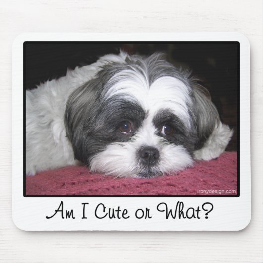 Belle The Shih Tzu Dog Mousepad (Vorne)