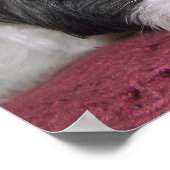 Belle The Shih Tzu Poster (Ecke)