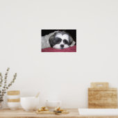 Belle The Shih Tzu Poster (Küche)