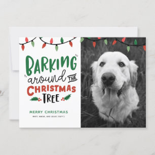 Bellen rund um den Weihnachtsbaum Hund Weihnachten