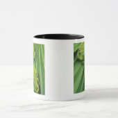 Bellender Baum-Frosch (Hyla gratiosa) Tasse (Zentrum)