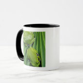 Bellender Baum-Frosch (Hyla gratiosa) Tasse (Vorderseite Links)