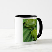 Bellender Baum-Frosch (Hyla gratiosa) Tasse (VorderseiteRechts)